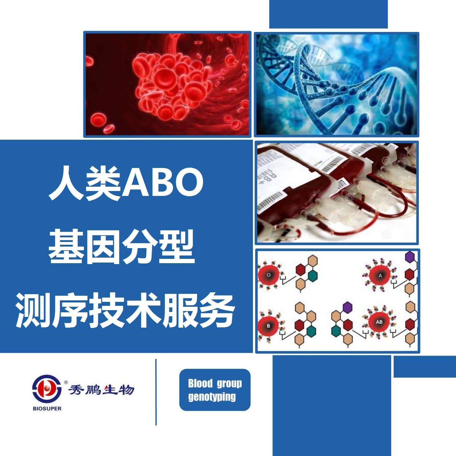 人类ABO基因分型外显子测序技术服务
