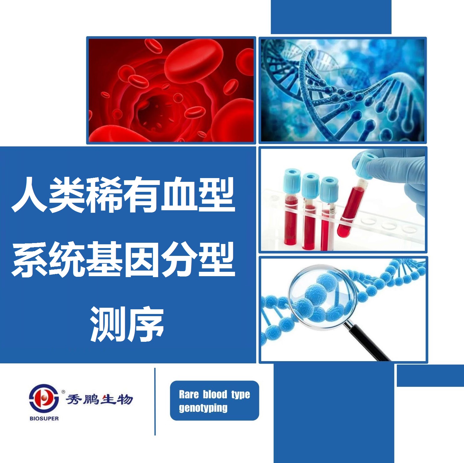 人类稀有血型系统基因分型测序
