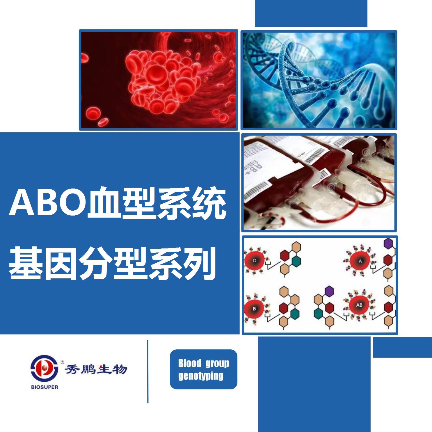 ABO血型系统基因分型系列