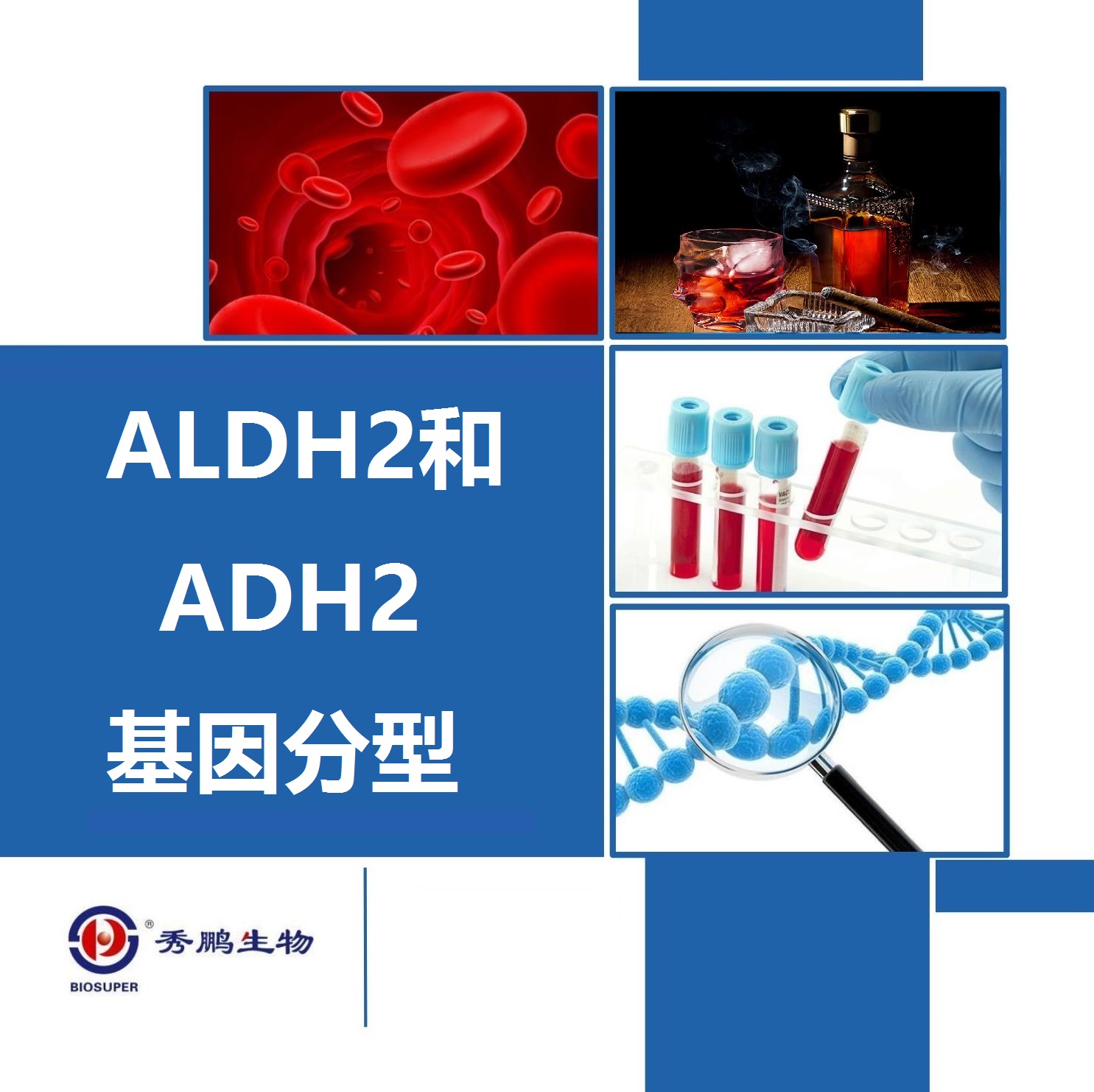 ALDH2和ADH2基因分型