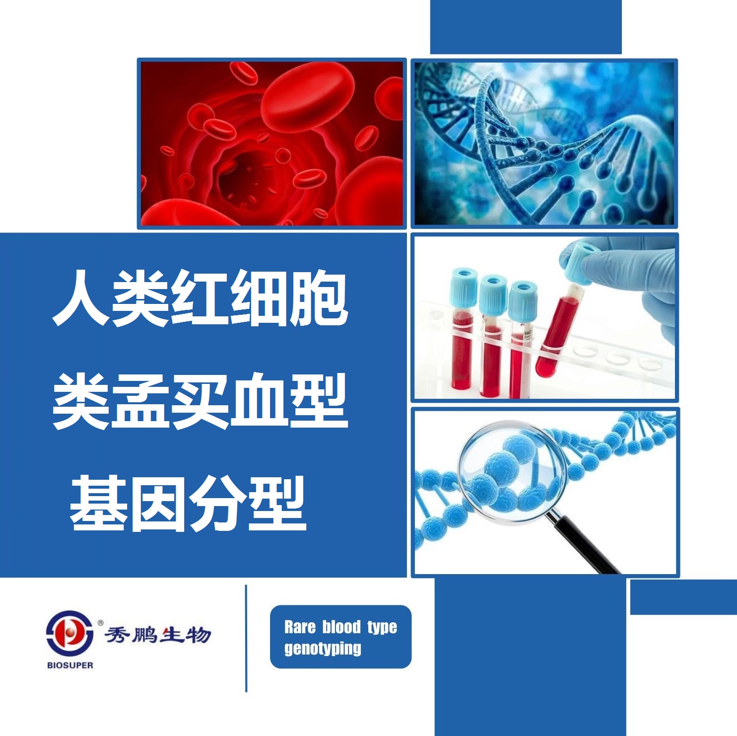人类红细胞类孟买血型基因分型
