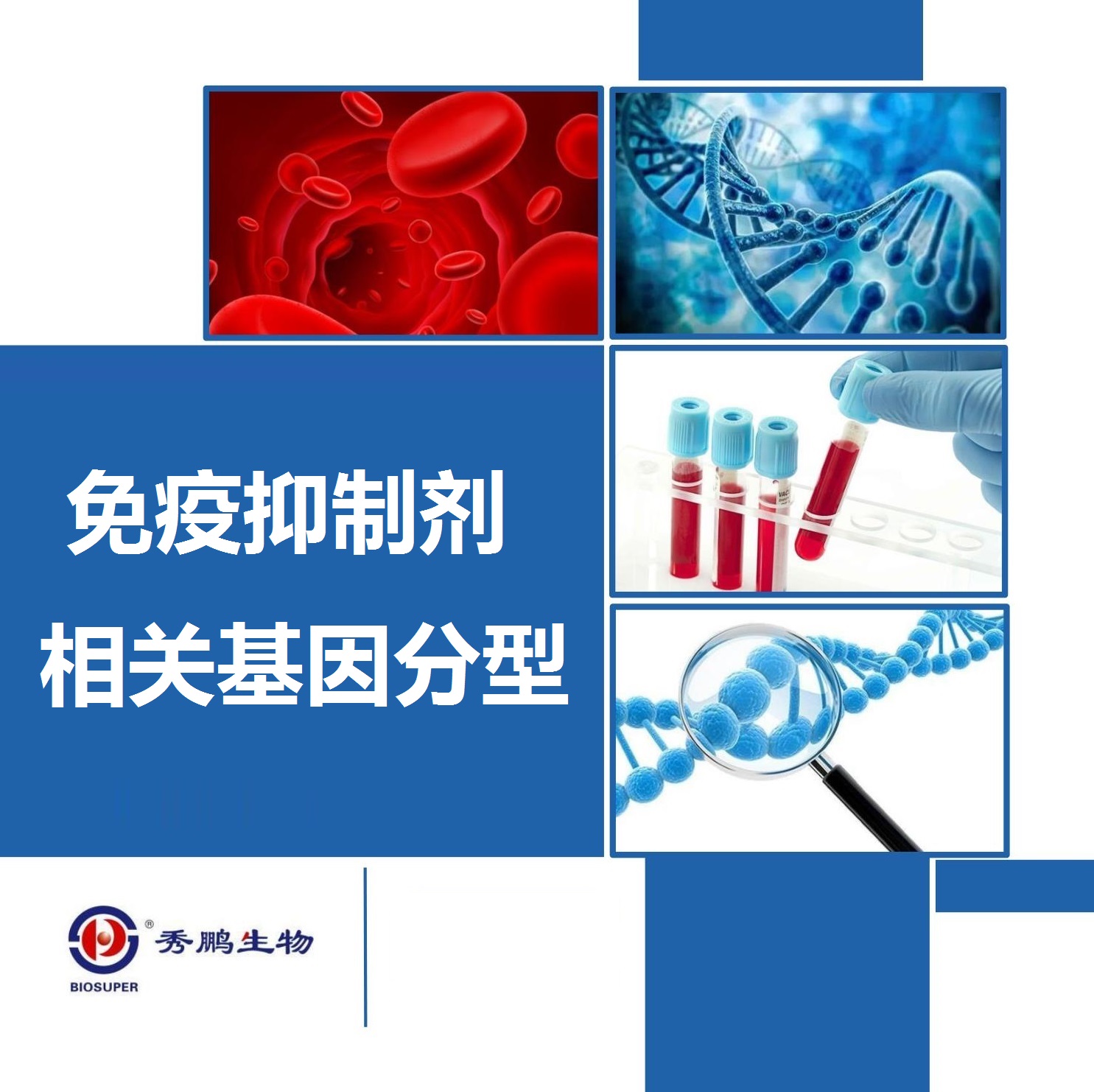 免疫抑制剂相关基因分型