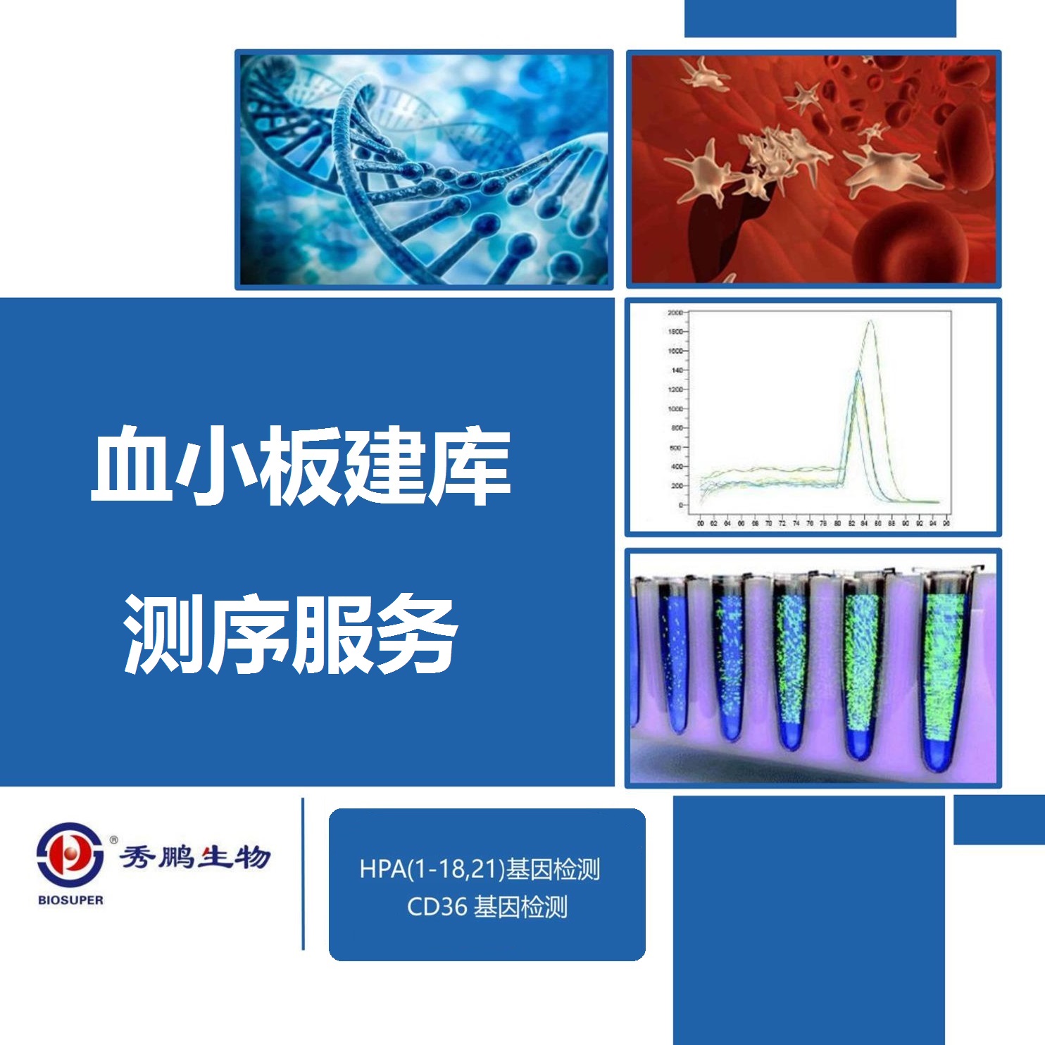 血小板抗原基因测序系列