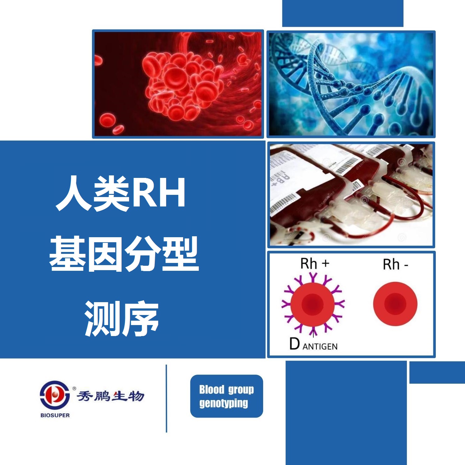人类RH基因分型测序技术服务