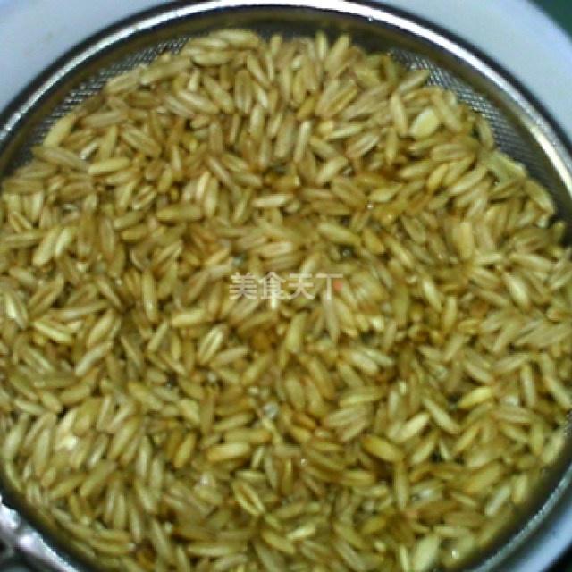 江门市加得食品有限公司