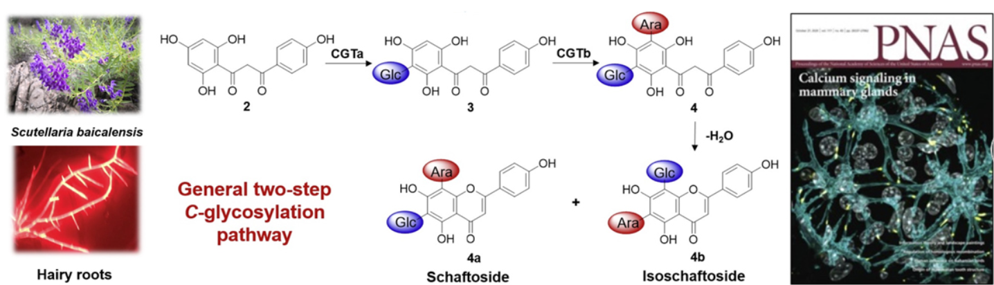 学术成果（2022年及以前）