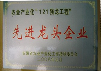龍頭企業(yè)