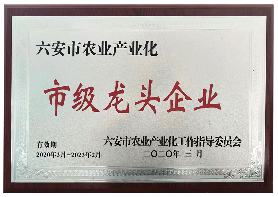 六安市龍頭企業(yè)