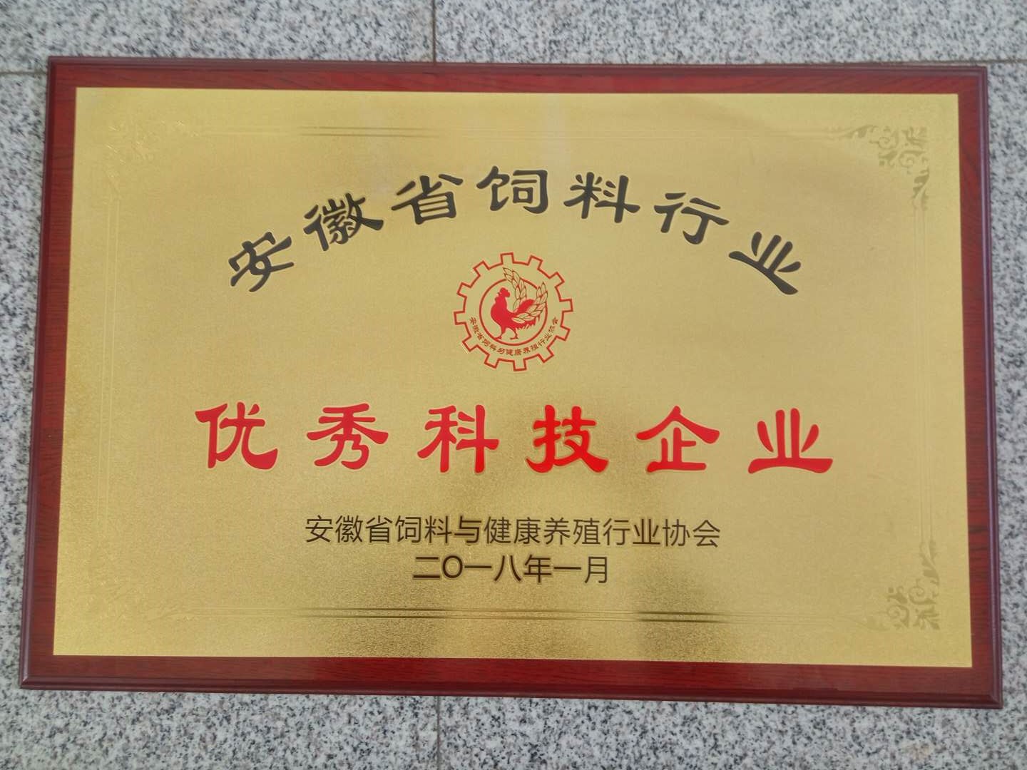 優(yōu)秀科技企業(yè)