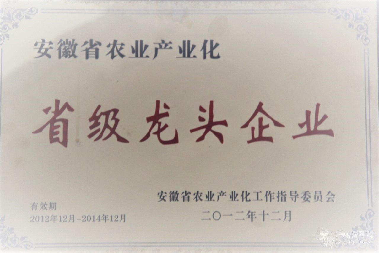 產(chǎn)業(yè)化龍頭企業(yè)