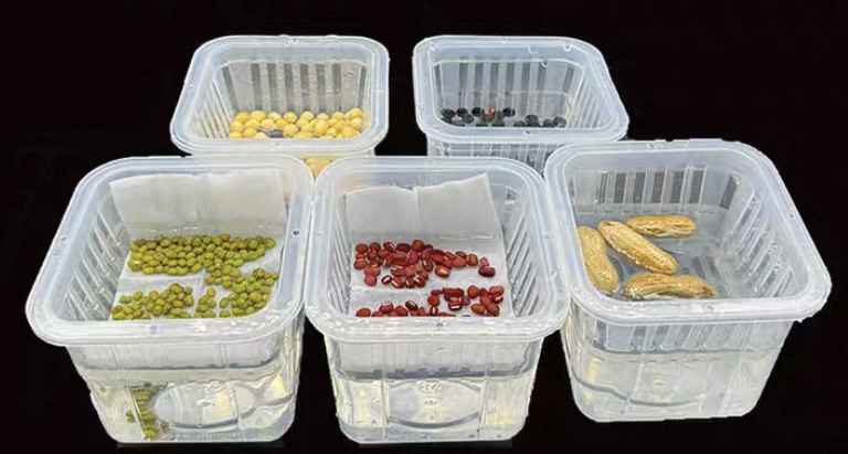 Tissue Culture Series