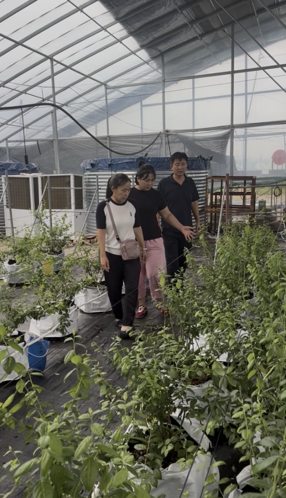 安徽固镇县想军家庭农场在种植实践中成效显著。