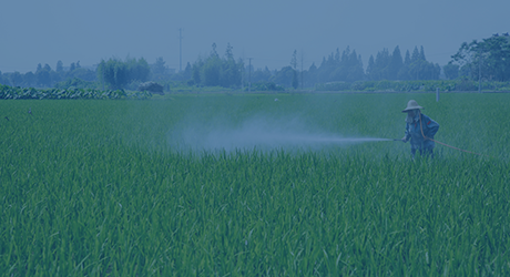 湖南氯酸鉀廠家