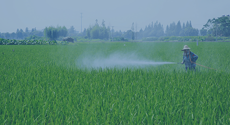 湖南氯酸鉀廠家