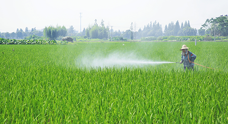 湖南化學(xué)原料供應(yīng)