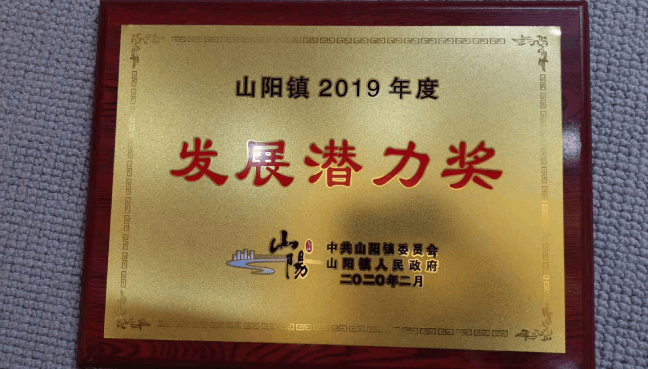 PRIMO普锐马液压扳手获得金山区山阳镇发展潜力奖