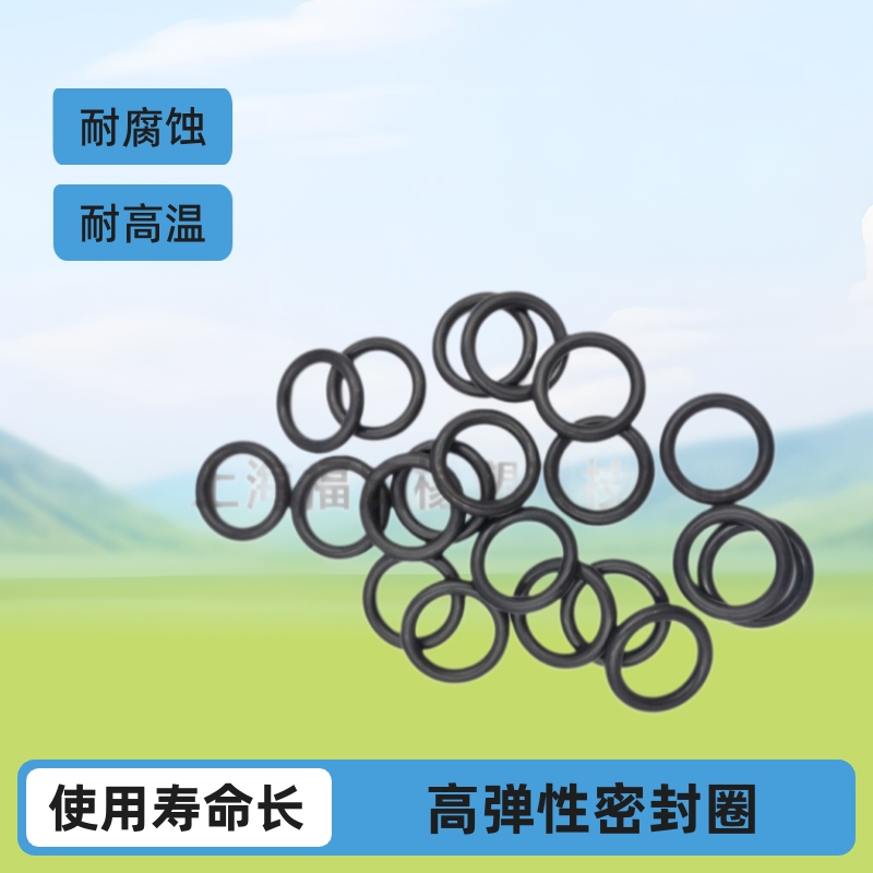 氟橡胶O型圈真空密封 厂家定制耐磨抗压圈密封橡胶件