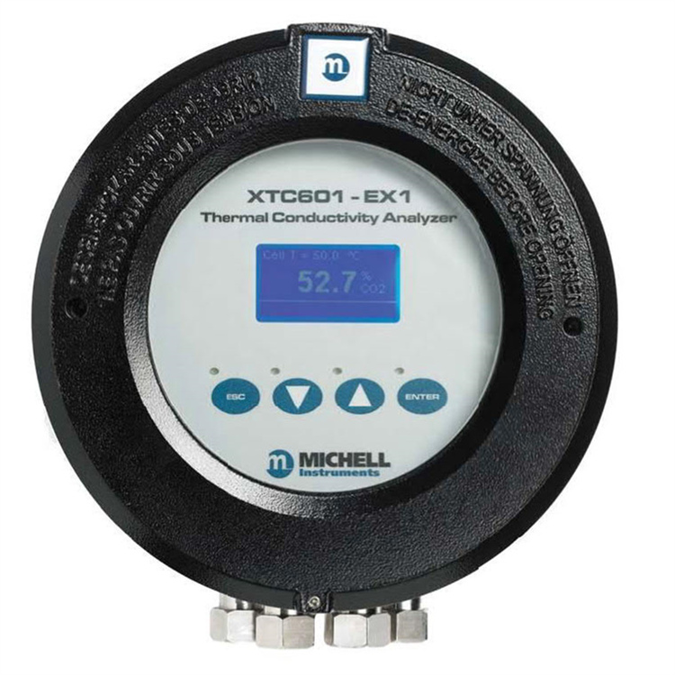 XTC601 氢气纯度分析仪