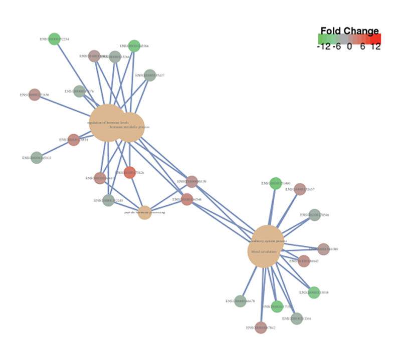 Ribo-seq