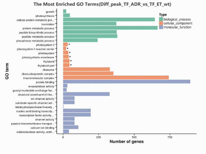 RIP-seq