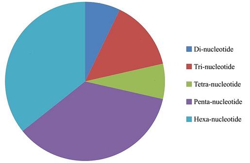 SSR分子标记开发