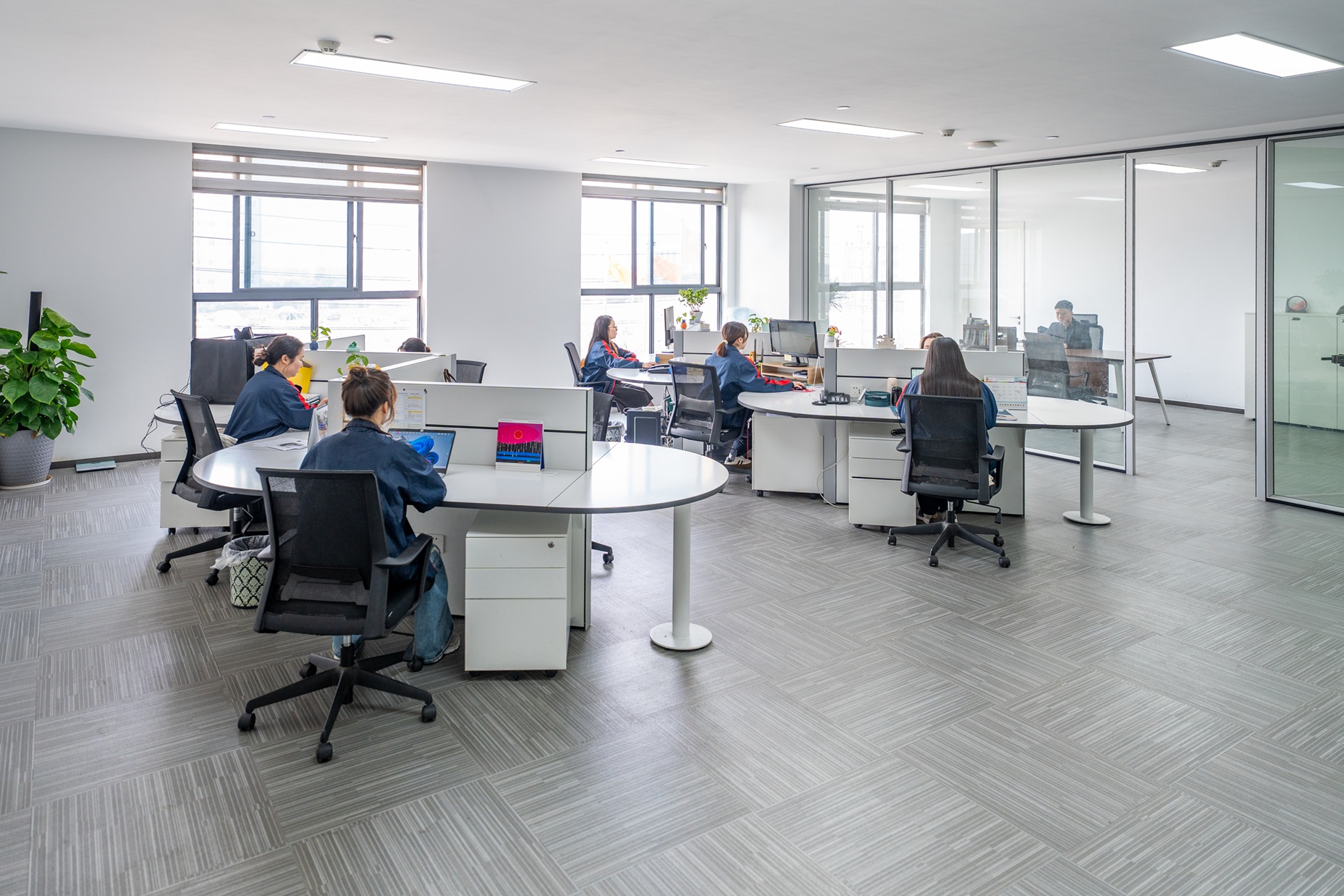 Office and Showroom