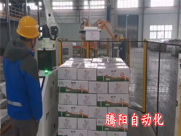 箱装协作码垛机器人