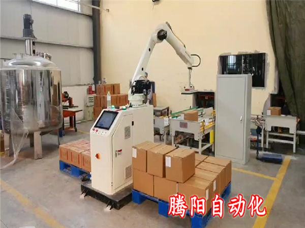 箱装协作码垛机器人 箱装协作码垛机器人