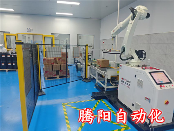 箱装协作码垛机器人 箱装协作码垛机器人
