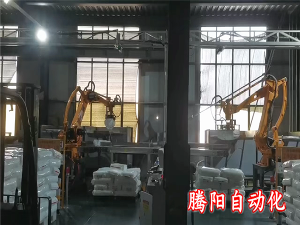 兩臺拆包投料機器人在托盤注塑行業(yè)同時工作