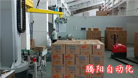全自动立柱码垛机