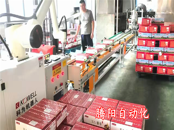 箱装食品协作码垛机占地小能升降移动