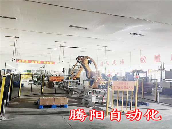 箱装码垛机器人