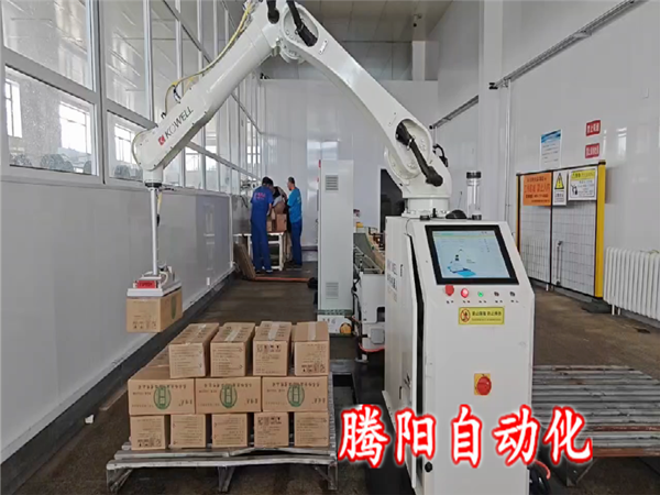 箱装协作码垛机器人 箱装协作码垛机器人