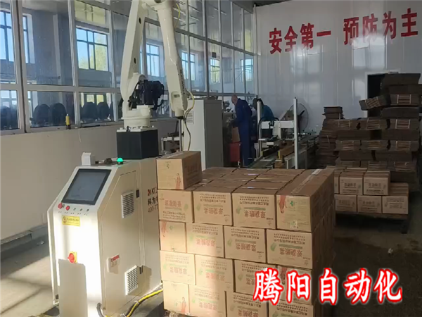 箱装食品协作码垛机器人