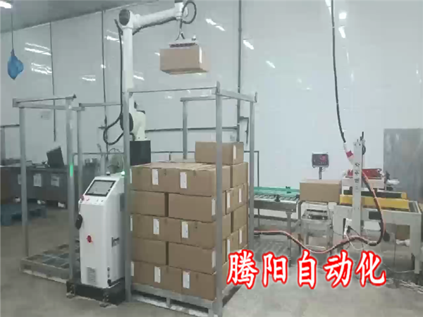 箱装冷冻水产品协作码垛机器人耐低温让码垛更轻松