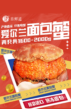 平面海报包装画册宣传海报轮播图片展架易拉宝设计