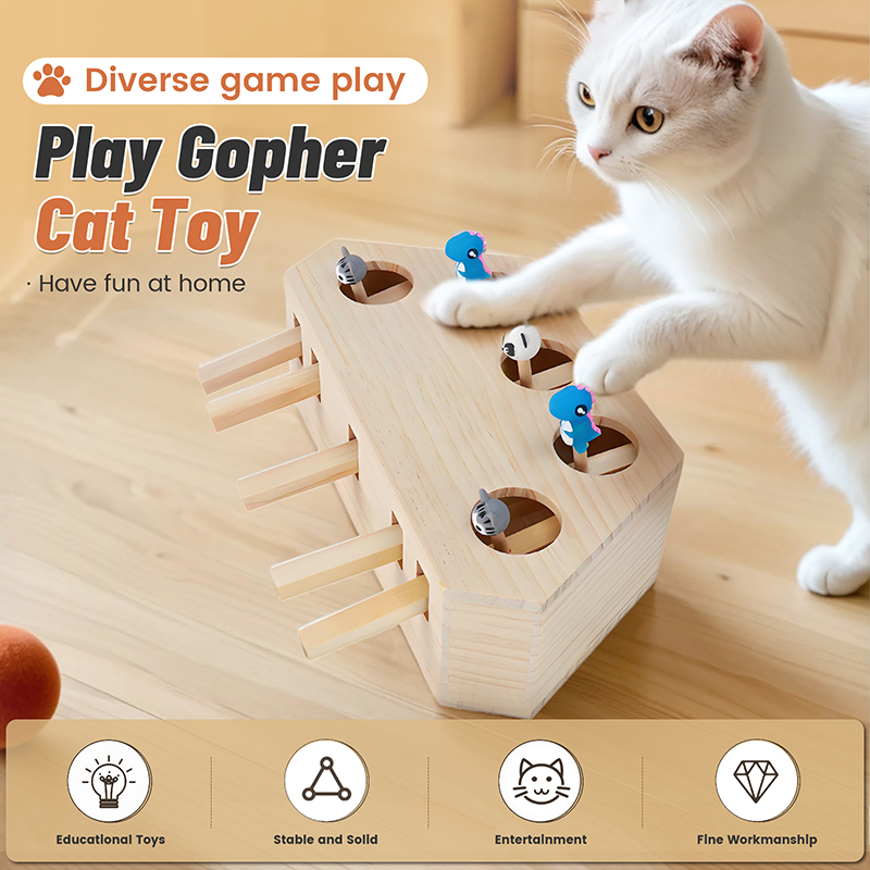 宠物玩具亚马逊设计跨境宠物用品