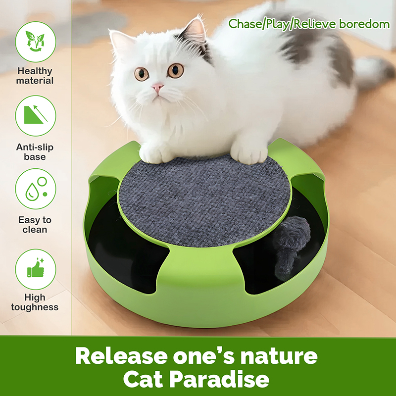 宠物玩具速卖通详情页亚马逊主图A+