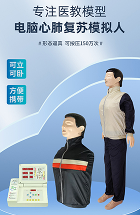 医疗器械教学模型人医疗器材教具
