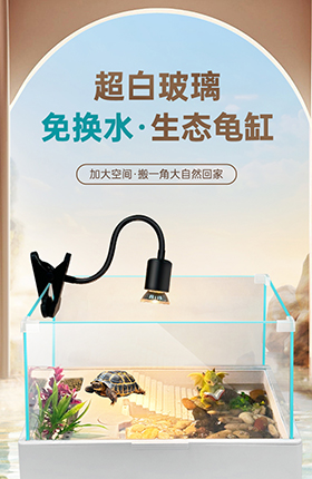 乌龟缸水族龟缸精修详情页