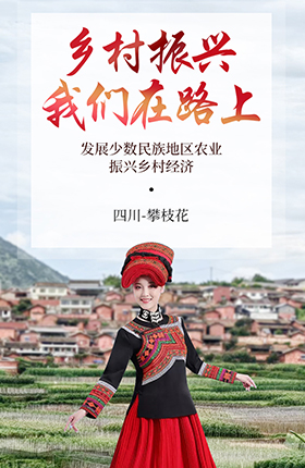 农产品番茄生鲜特产蔬菜