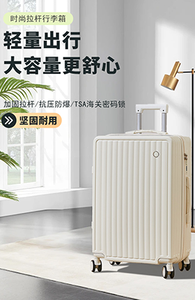行李箱收纳箱包出行收纳
