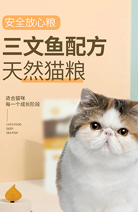 猫粮狗粮宠物食品食物宠物用品详情页