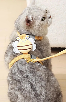 宠物用品牵引绳宠物玩具亚马逊A+设计