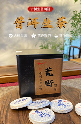 普洱茶养生饮品茶叶详情