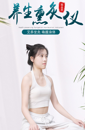 艾灸仪器养身保健器具