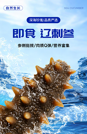 生鲜海参辽刺参食品详情页