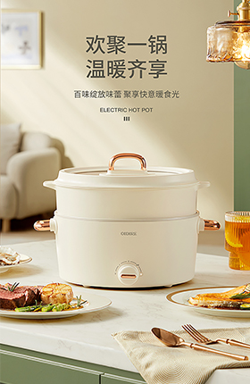 电火锅厨房电器家用电器厨具锅具