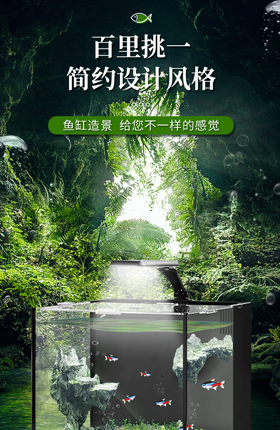 观赏鱼缸水族造景鱼缸室内摆件
